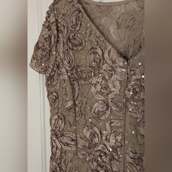 Alex Evenings Gorgeous Lace A-Line Gown - Picture 9 of 14